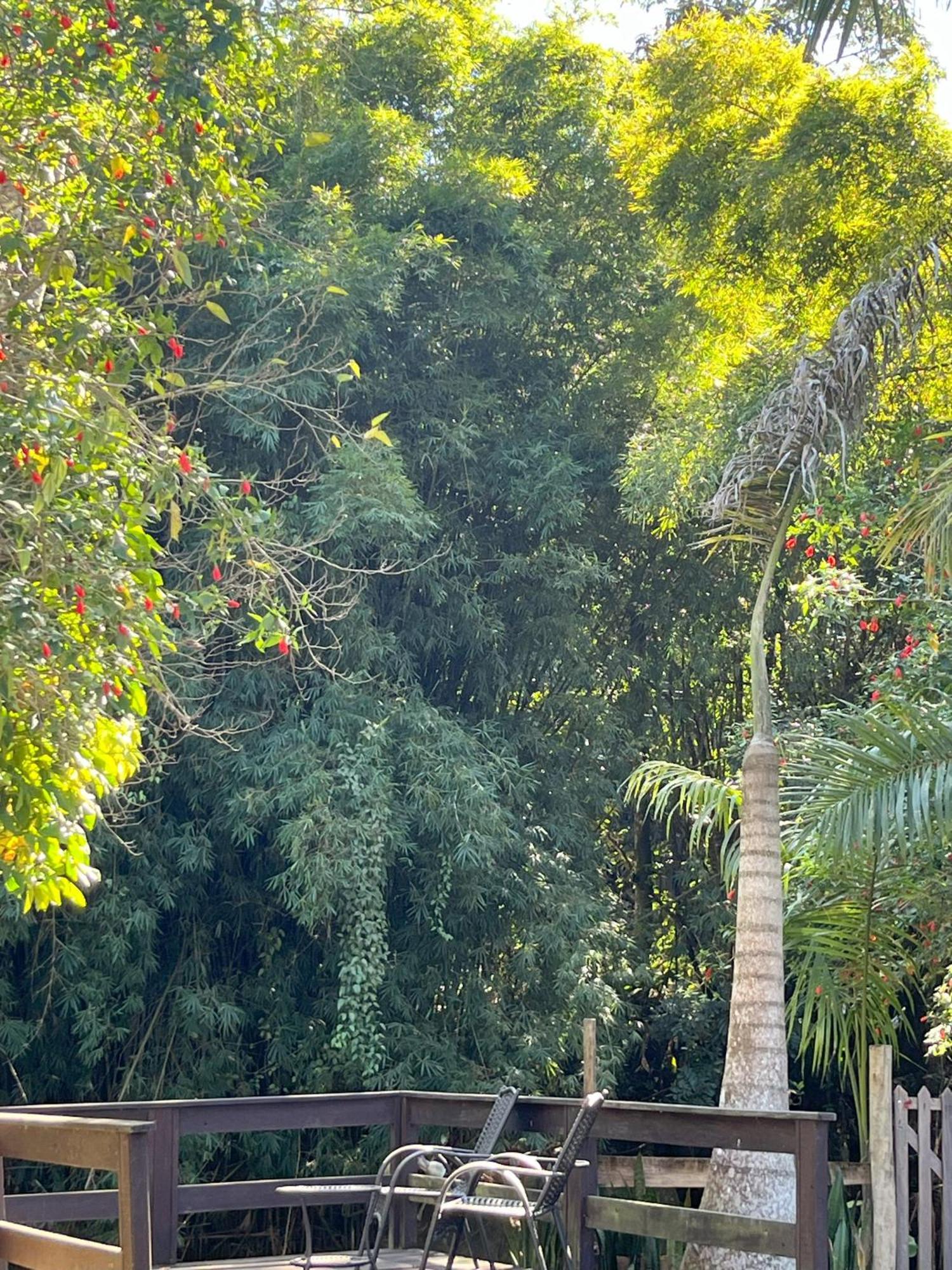 Casa Di Maria 4 Quartos A 500M Centro - Sauna, Piscina, Fogao A Lenha, Churrasqueira - Acesso Privativo Ao Ao Rio - Ideal Para Familias Нова-Фрибурго Екстериор снимка